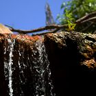 Wasserfall im Zoo Gelsenkirchen (Zoom)