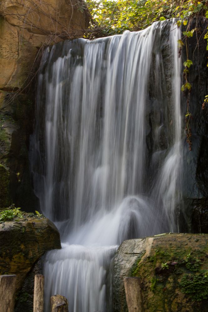 Wasserfall im Zoo Hannover