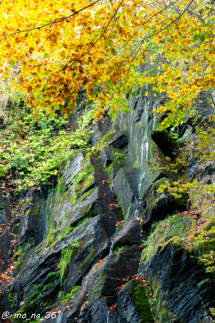 Wasserfall in Bestwig 