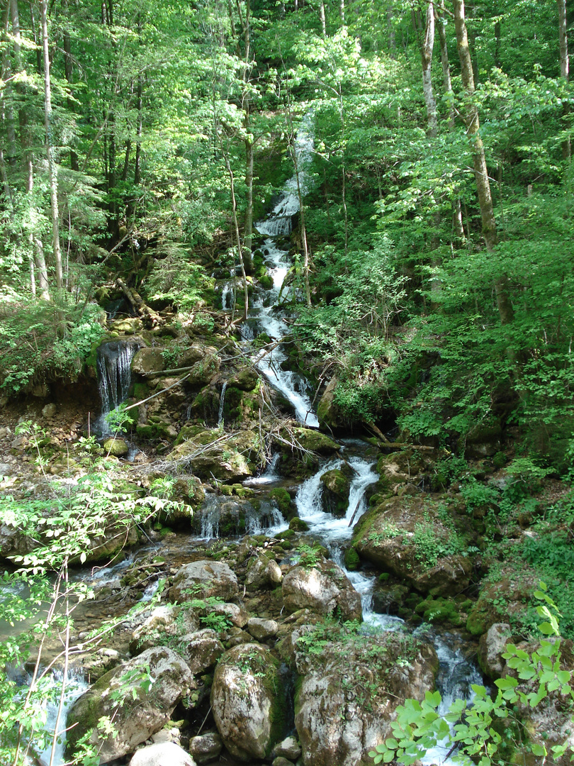 Wasserfall in der Bärenschützklamm