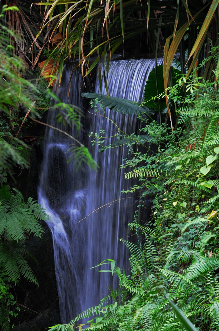 Wasserfall in der Masoalahalle im Zürcher Zoo