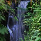 Wasserfall in der Masoalahalle im Zürcher Zoo