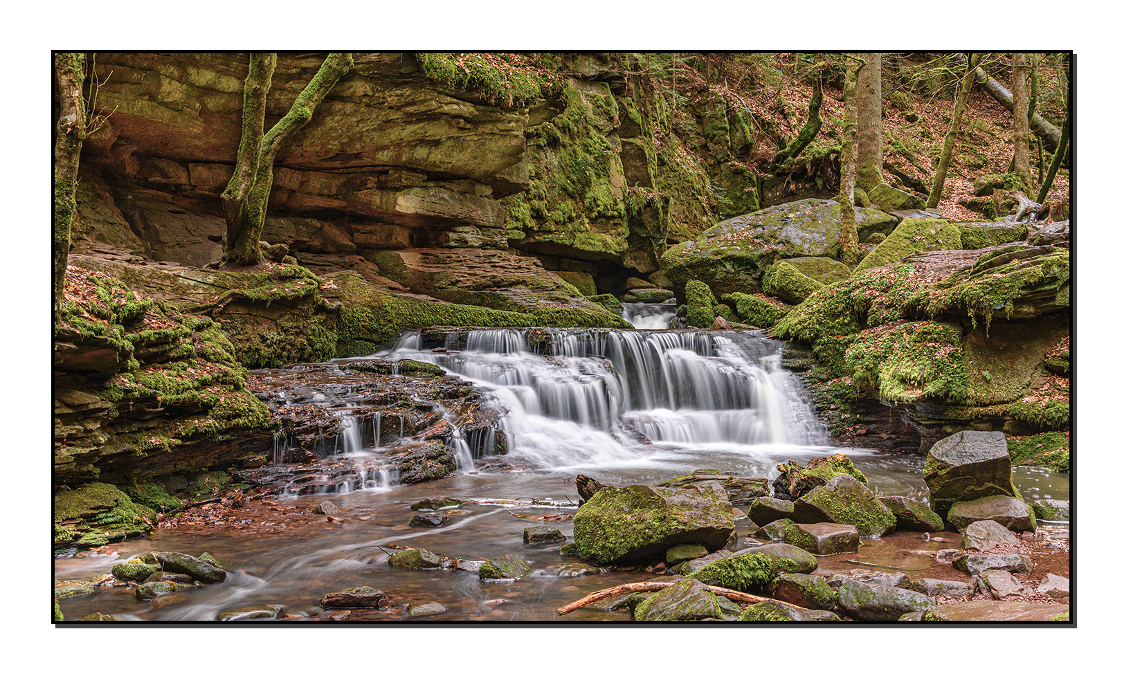 Wasserfall in der Monbachschlucht