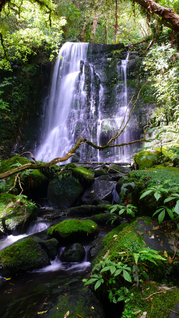 Wasserfall in der Nähe von Purakaunui