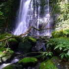 Wasserfall in der Nähe von Purakaunui