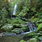 Wasserfall in der Ravennaschlucht