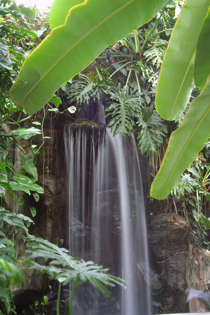 Wasserfall in der Wilhelma