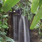 Wasserfall in der Wilhelma