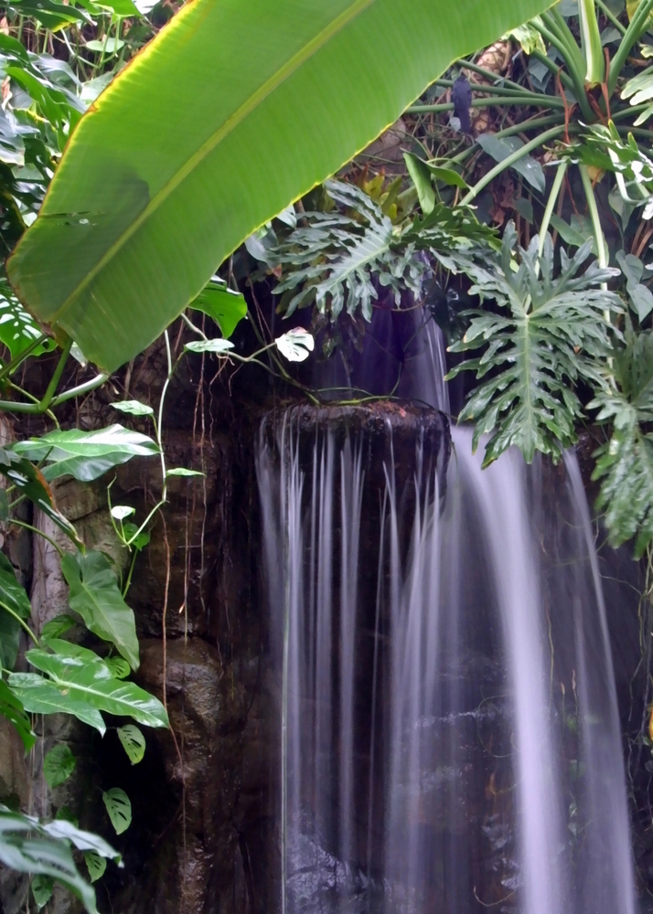 Wasserfall in der Wilhelma Nachbearbeitet