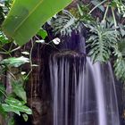 Wasserfall in der Wilhelma Nachbearbeitet