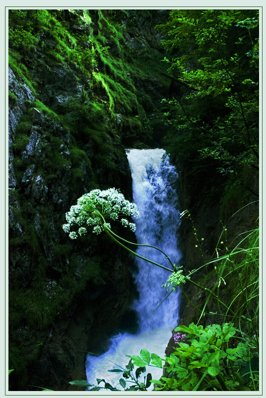 Wasserfall in der Wolfsklamm