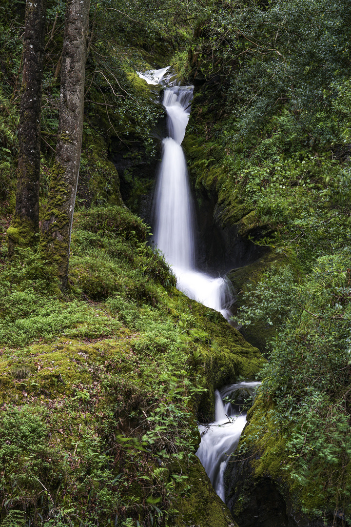 Wasserfall in Glendalough 