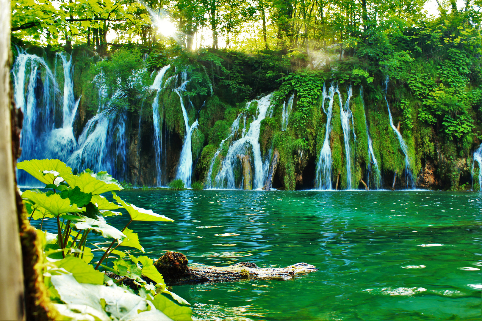 Wasserfall in grün