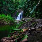 Wasserfall in Guadeloupe (Französische Karibik)