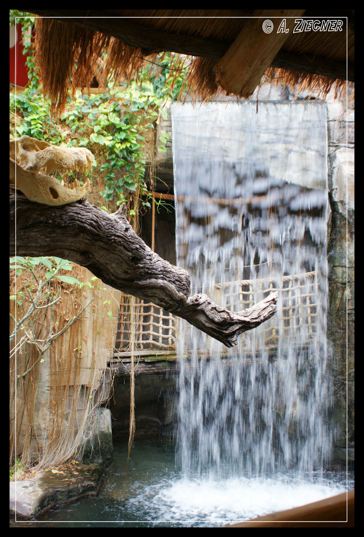 Wasserfall in Hagenbeck