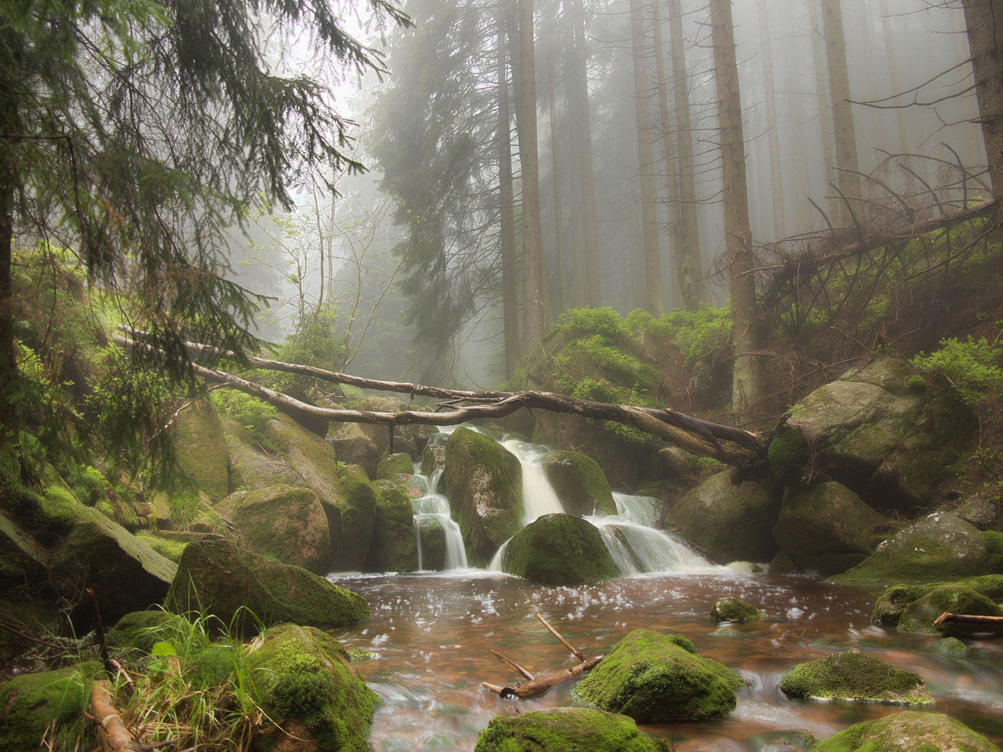 Wasserfall in Harz