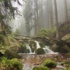 Wasserfall in Harz