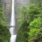 Wasserfall in Oregon (USA)