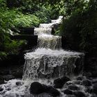 Wasserfall in Planten un Blomen II