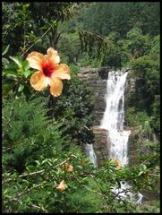 Wasserfall in Sri Lanka