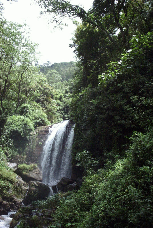 Wasserfall in Sri Lanka