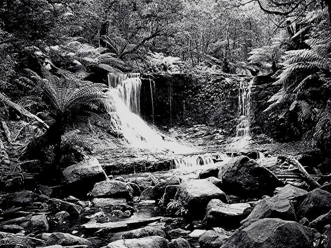 Wasserfall in Tasmanien