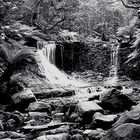 Wasserfall in Tasmanien