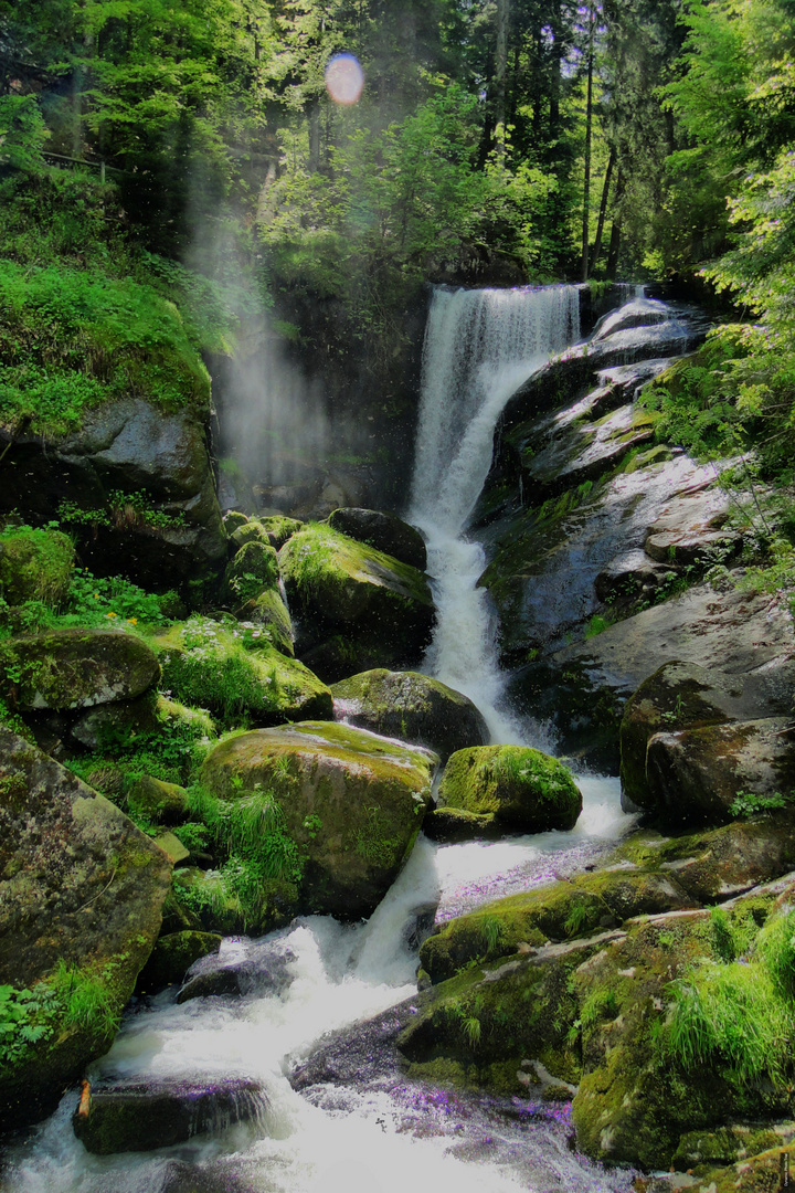 Wasserfall in Triberg