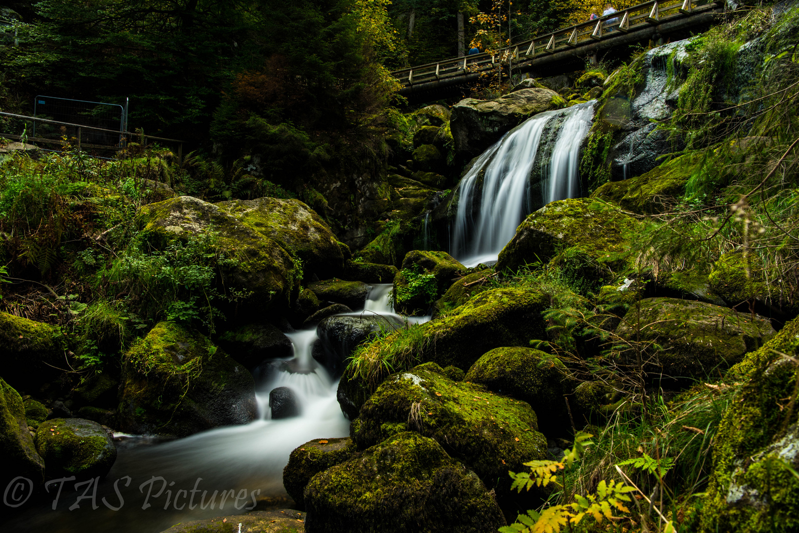 Wasserfall in Triberg