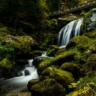 Wasserfall in Triberg