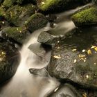 Wasserfall irgendwo in den Catlins