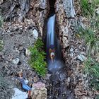 Wasserfall-Jungbrunnen 