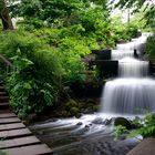 Wasserfall Jungiusstraße