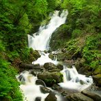 Wasserfall / Killarney Nationalpark