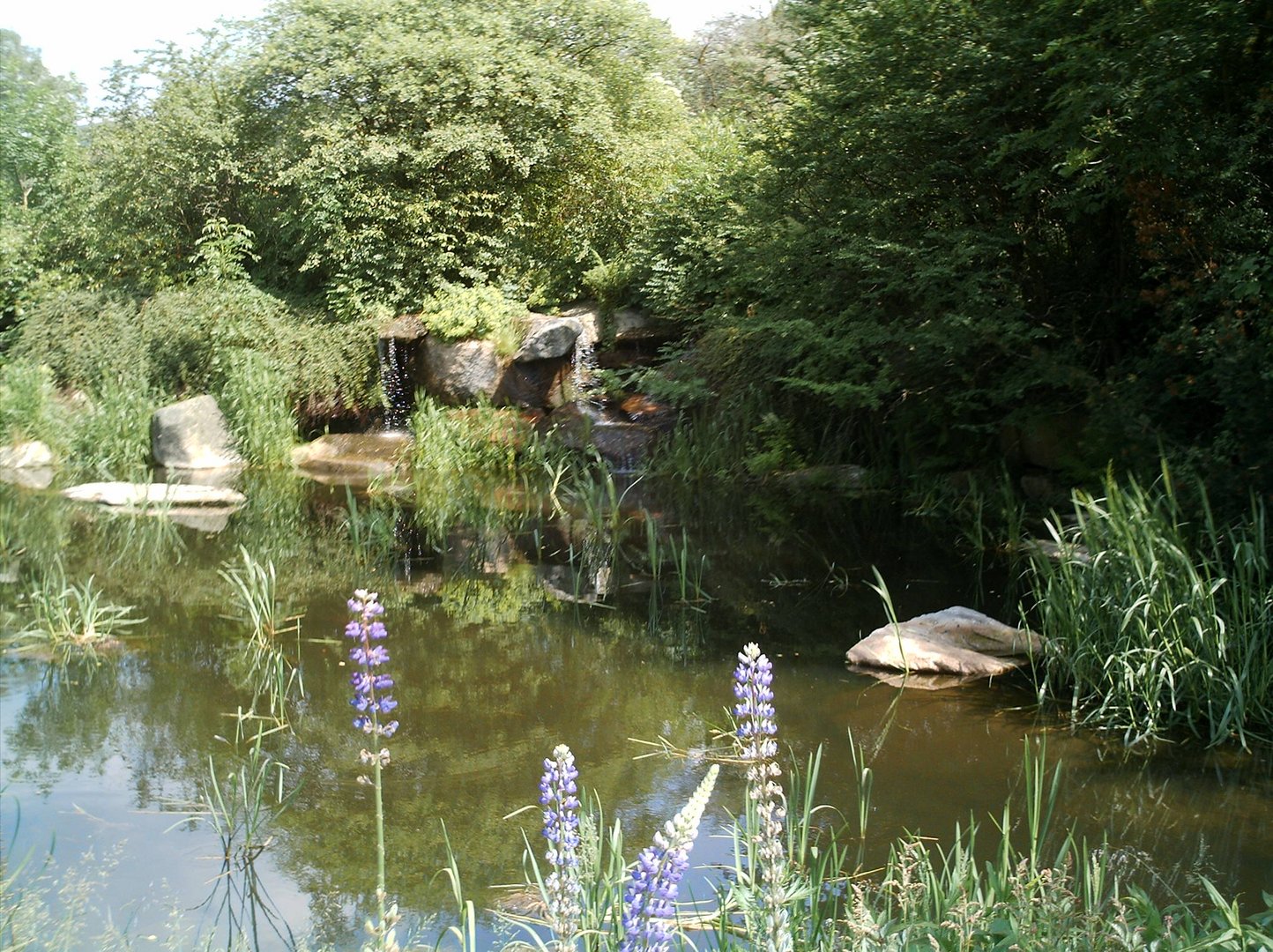 Wasserfall Kurort Braunlage