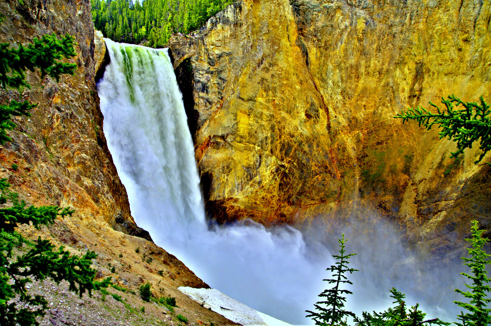 Wasserfall (Lower Falls) des Yellowstone Rivers im Yellowstone Nationalpark (Wyoming / USA)