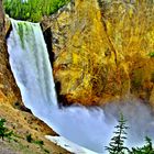 Wasserfall (Lower Falls) des Yellowstone Rivers im Yellowstone Nationalpark (Wyoming / USA)