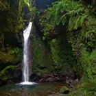 Wasserfall - Madeira