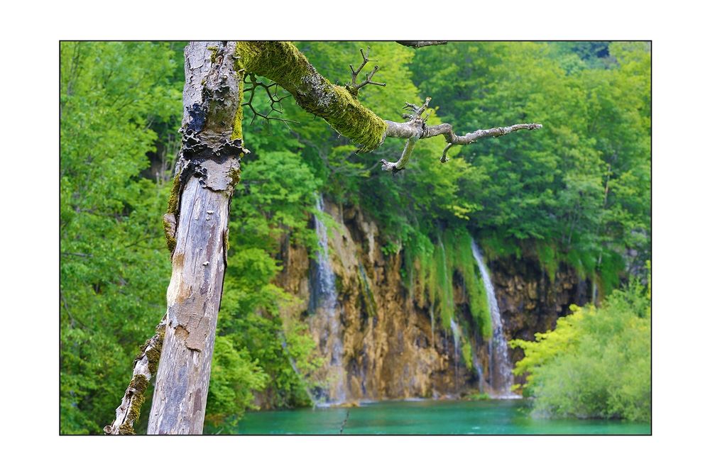 Wasserfall mal im Hintergrund :-)