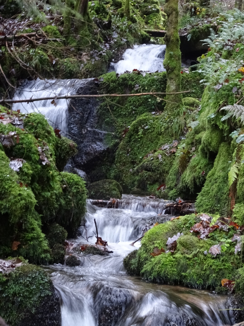 Wasserfall malanderst