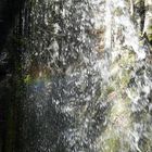 Wasserfall Menzenschwand