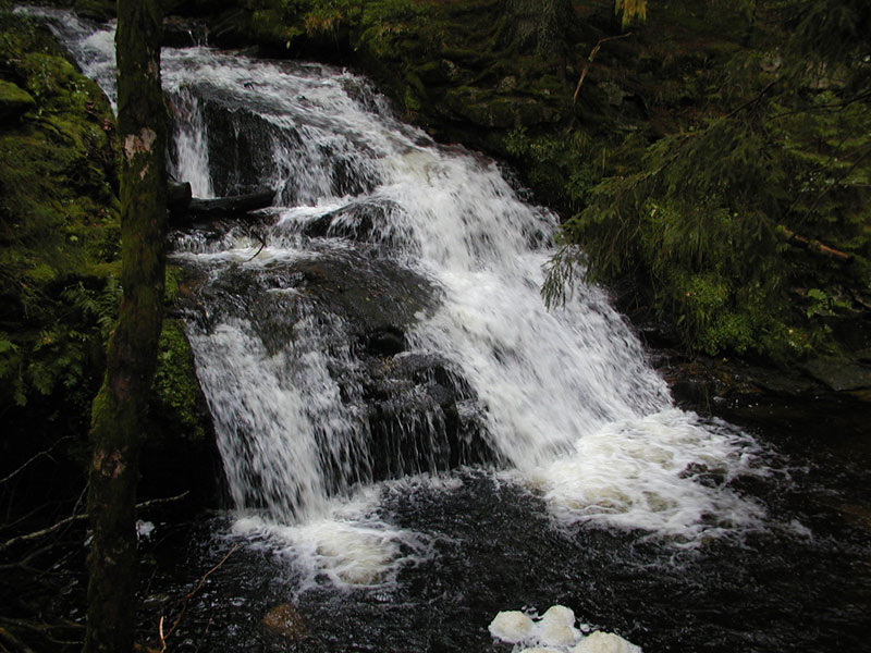 ...Wasserfall Menzenschwand...