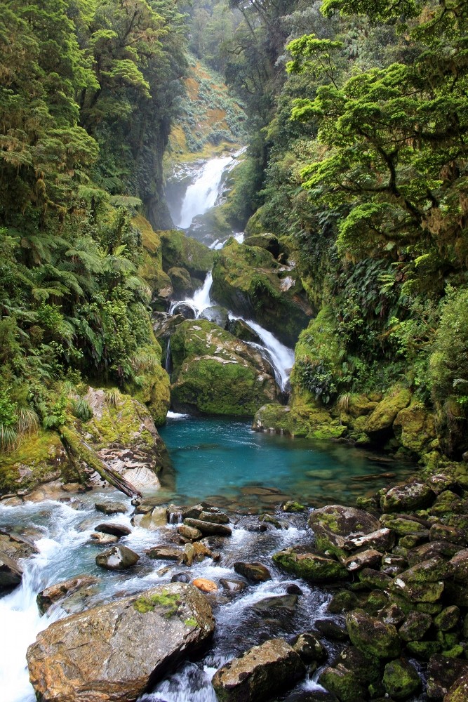 Wasserfall / Milford Track (New Zealand) von MacGregor 