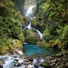 Wasserfall / Milford Track (New Zealand)