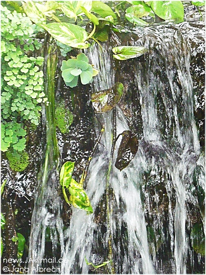 Wasserfall-Miniatur im Tierpark Hellabrunn, München