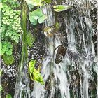 Wasserfall-Miniatur im Tierpark Hellabrunn, München