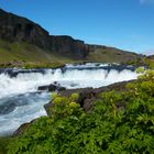 Wasserfall mit Archangelica - Island