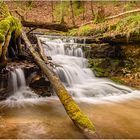 Wasserfall mit Baumstamm