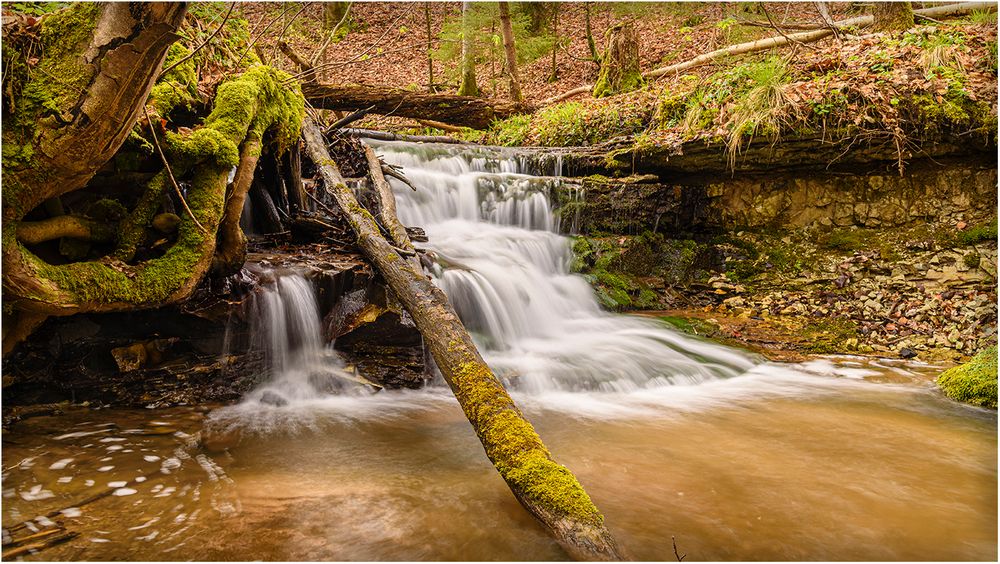 Wasserfall mit Baumstamm