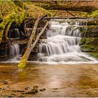 Wasserfall mit Baumstamm frontal